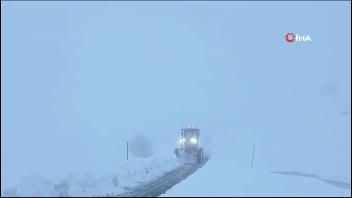Siirt\'te kar nedeniyle kapanan yollar ulaşıma açıldı