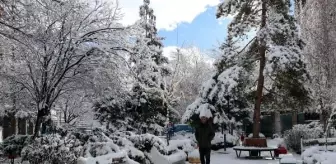VAN'da 451 yerleşim yerinin yolu kar nedeniyle ulaşıma kapandı