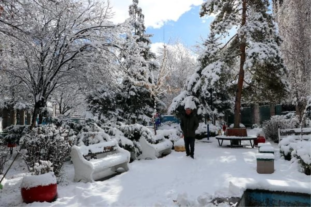 VAN\'da 451 yerleşim yerinin yolu kar nedeniyle ulaşıma kapandı