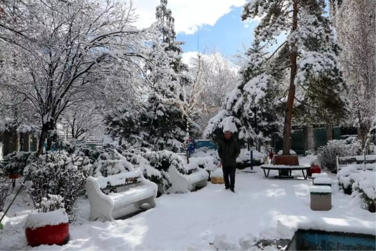 VAN\'da 451 yerleşim yerinin yolu kar nedeniyle ulaşıma kapandı