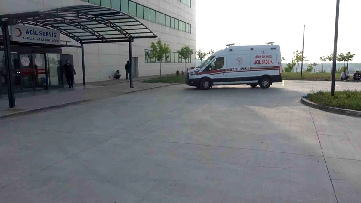 Yalova\'da 20 Tersane İşçisi Gıda Zehirlenmesi Şüphesiyle Hastaneye Kaldırıldı