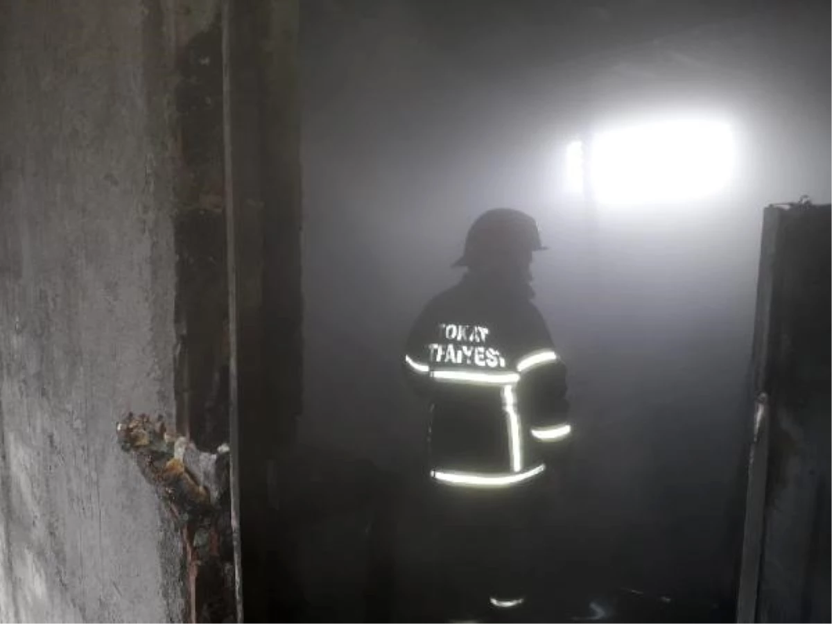 Tokat\'ta Spor Salonu İnşaatında Yangın Çıktı, Köpek İtfaiyeciler Tarafından Kurtarıldı