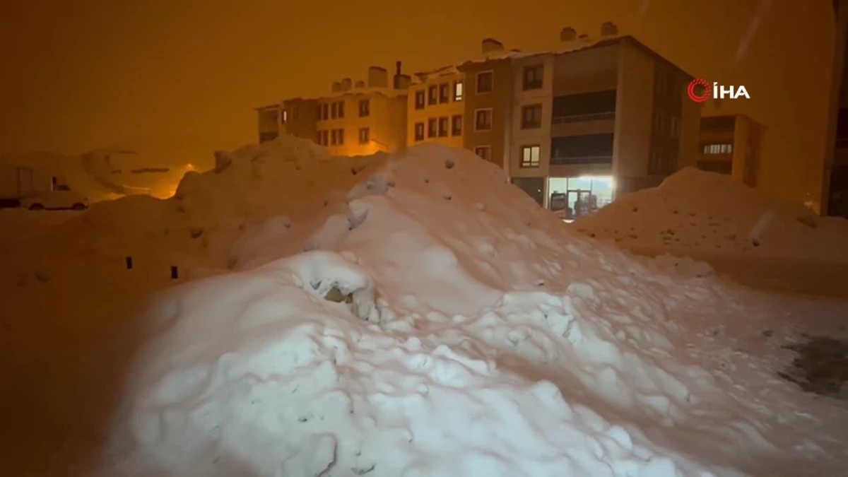 Yüksekova\'da lapa lapa kar yağışı başladı
