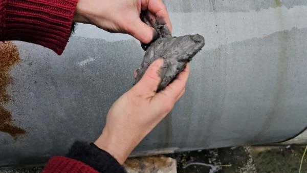 Zonguldak'ta Dağıtılan Kömürlerde Taş Çıkması Mağduriyet Yaratıyor