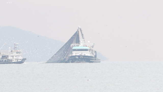 İstanbul Boğazı'ndaki teknelerin 24 metrelik avlanma şartını ihlal ettikleri iddiası tartışma yarattı