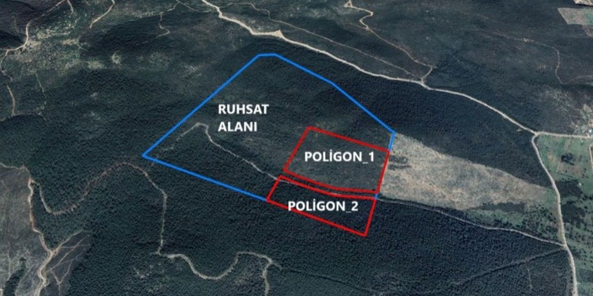 Bodrum\'da ormanlık alanda duvar taşı ocağı projesi için ÇED süreci başlatıldı