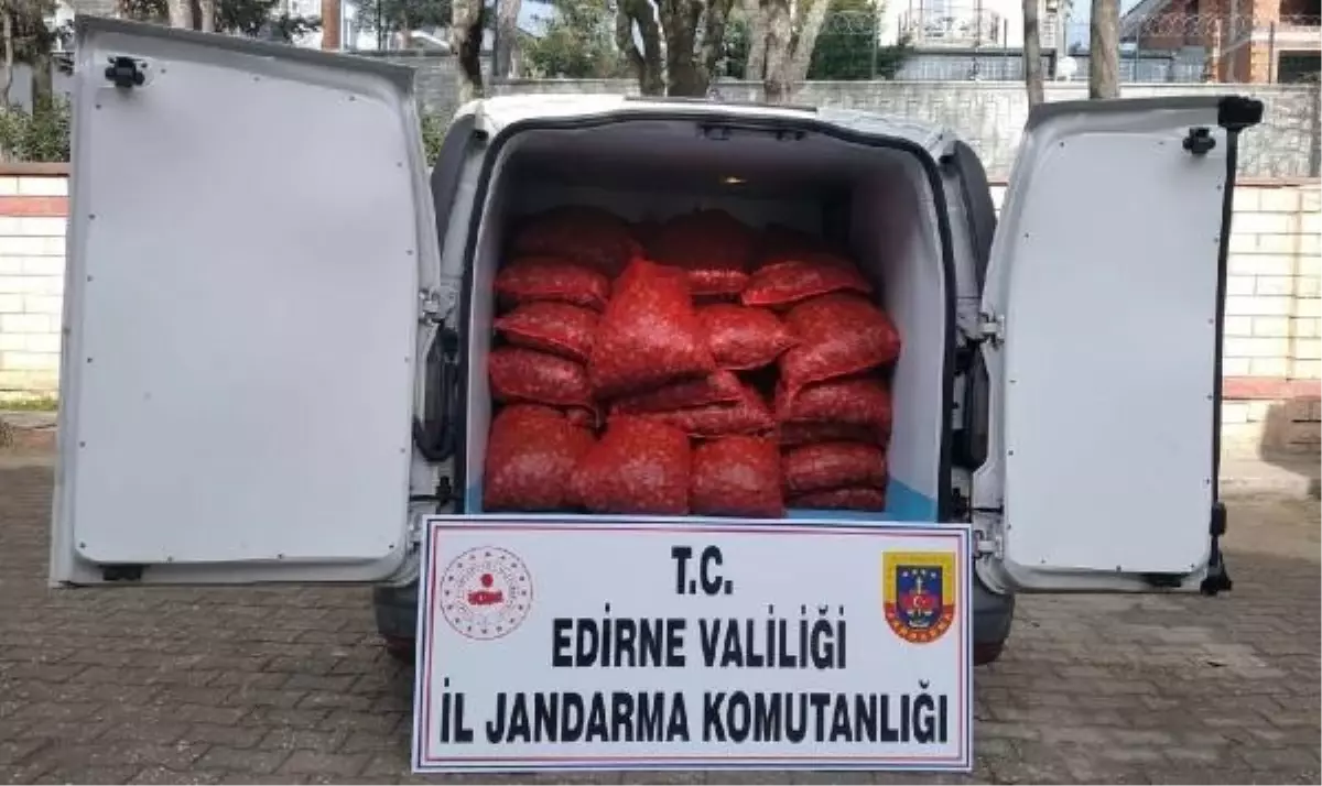 Edirne\'de 1 Ton Kaçak Kum Midyesi Ele Geçirildi