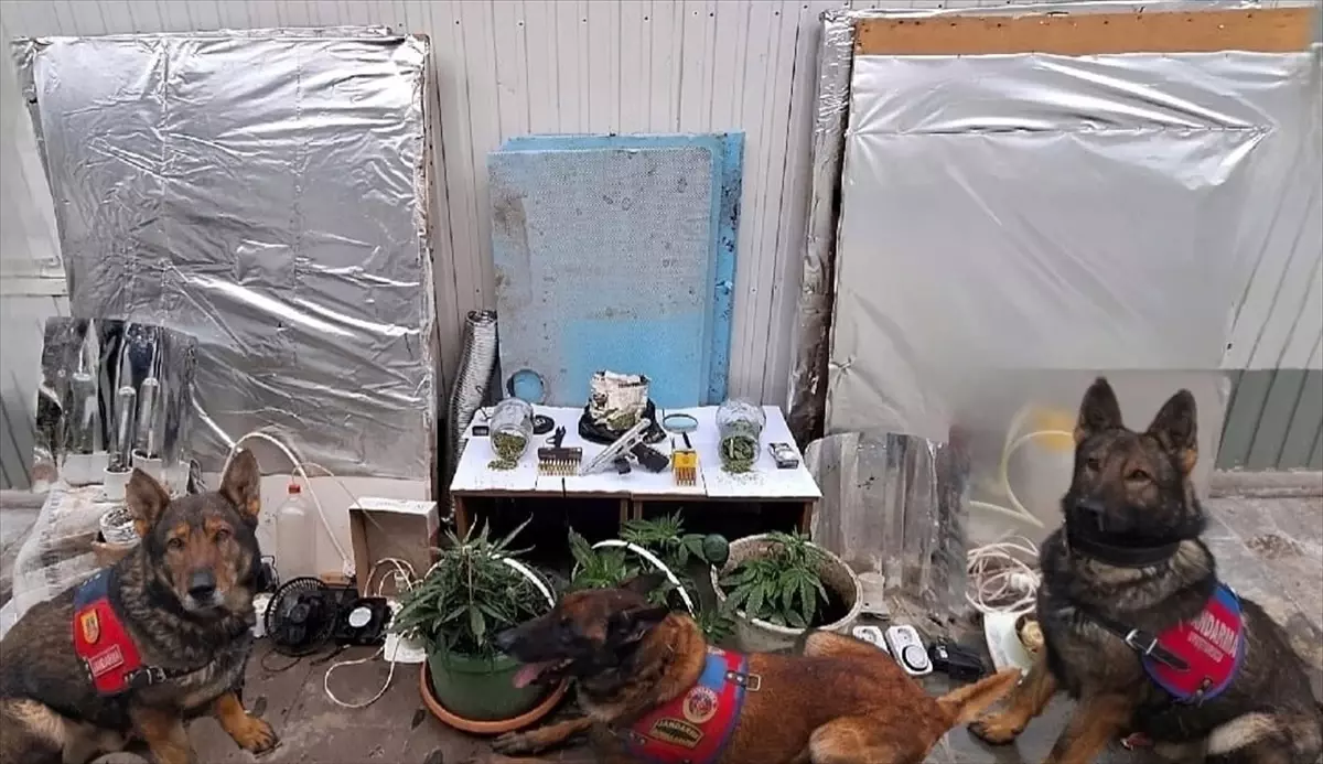 Erzincan'da uyuşturucu ve kaçakçılık operasyonu: 3 şüpheli gözaltına alındı