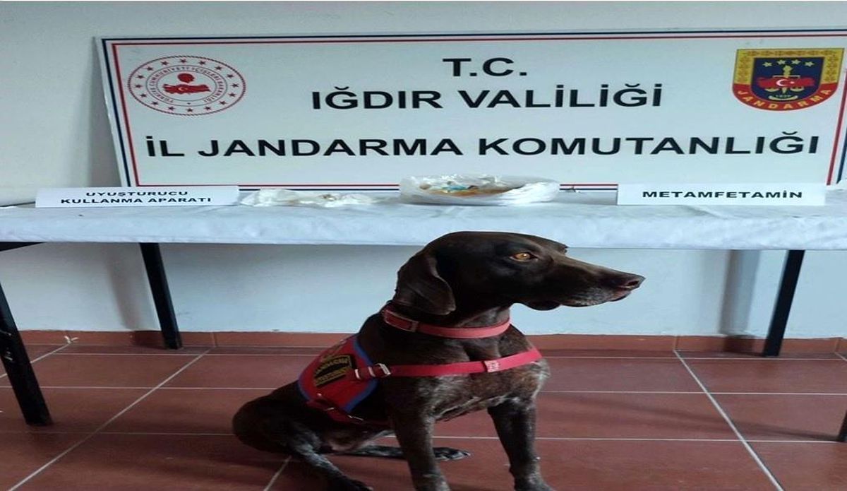 Iğdır\'da Uyuşturucu Ticareti Yapan 5 Şüpheli Tutuklandı