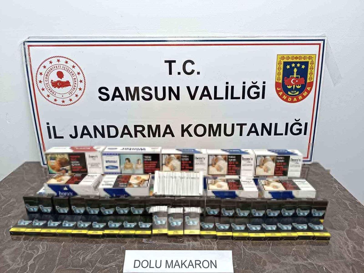 Samsun\'da Jandarma Ekipleri 5 Bin 800 Dal Makaron Ele Geçirdi