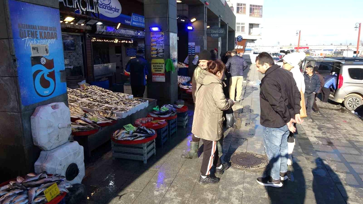 Karadeniz\'de Hamsi Fiyatları Yükseliyor