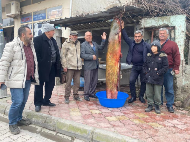 Osmaniyeli balıkçıya 37 bin TL'lik yayın balığı piyangosu