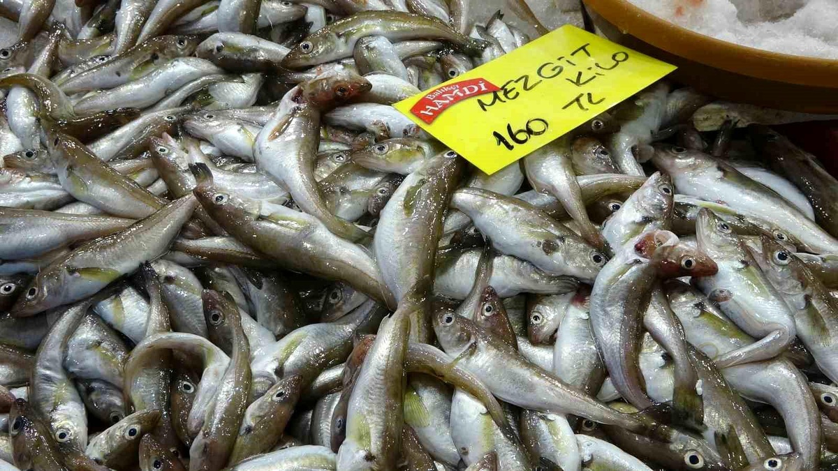 Kar Yağışı Balık Fiyatlarını Etkiledi