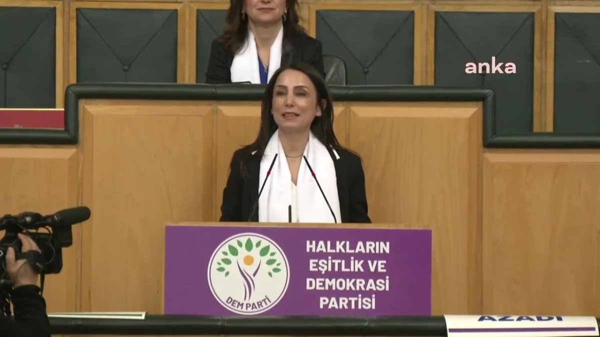 DEM Parti Eş Genel Başkanı Tülay Hatimoğulları: \'AKP Genel Başkanı yalan söyledi\'