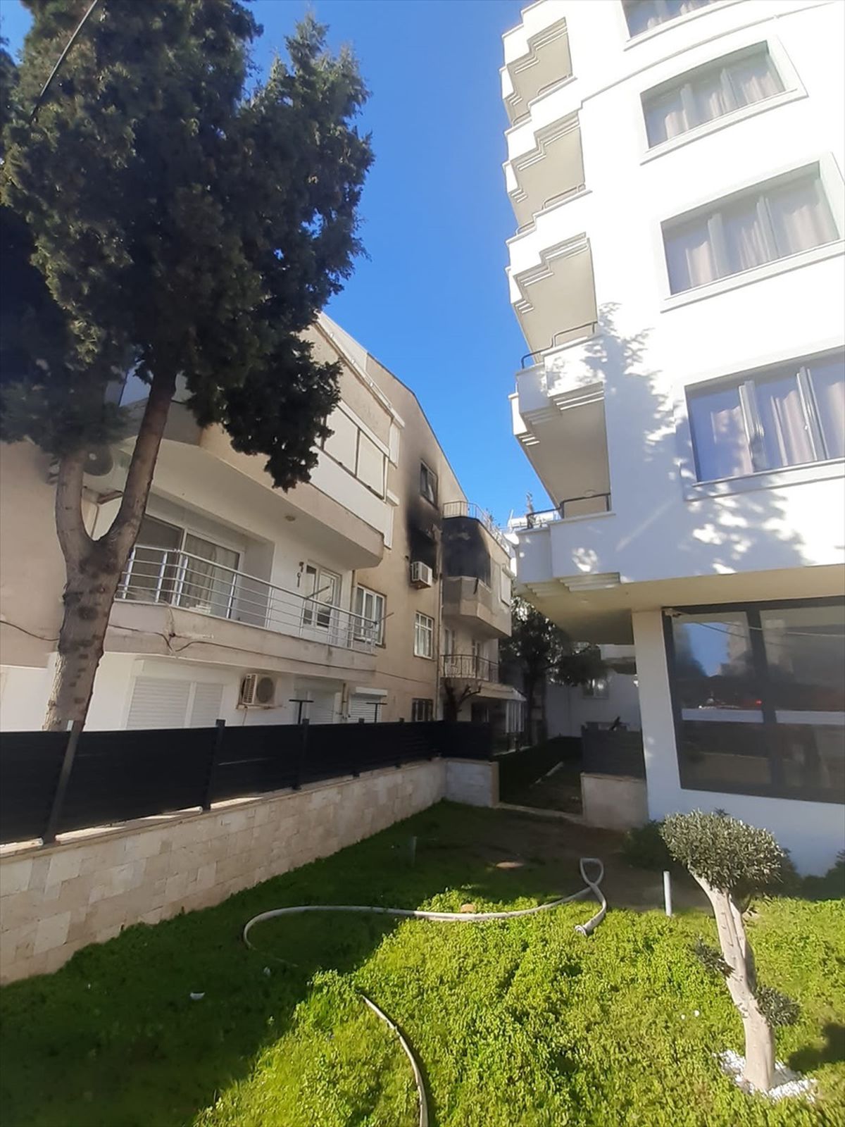 Ayvalık\'ta çıkan yangın söndürüldü