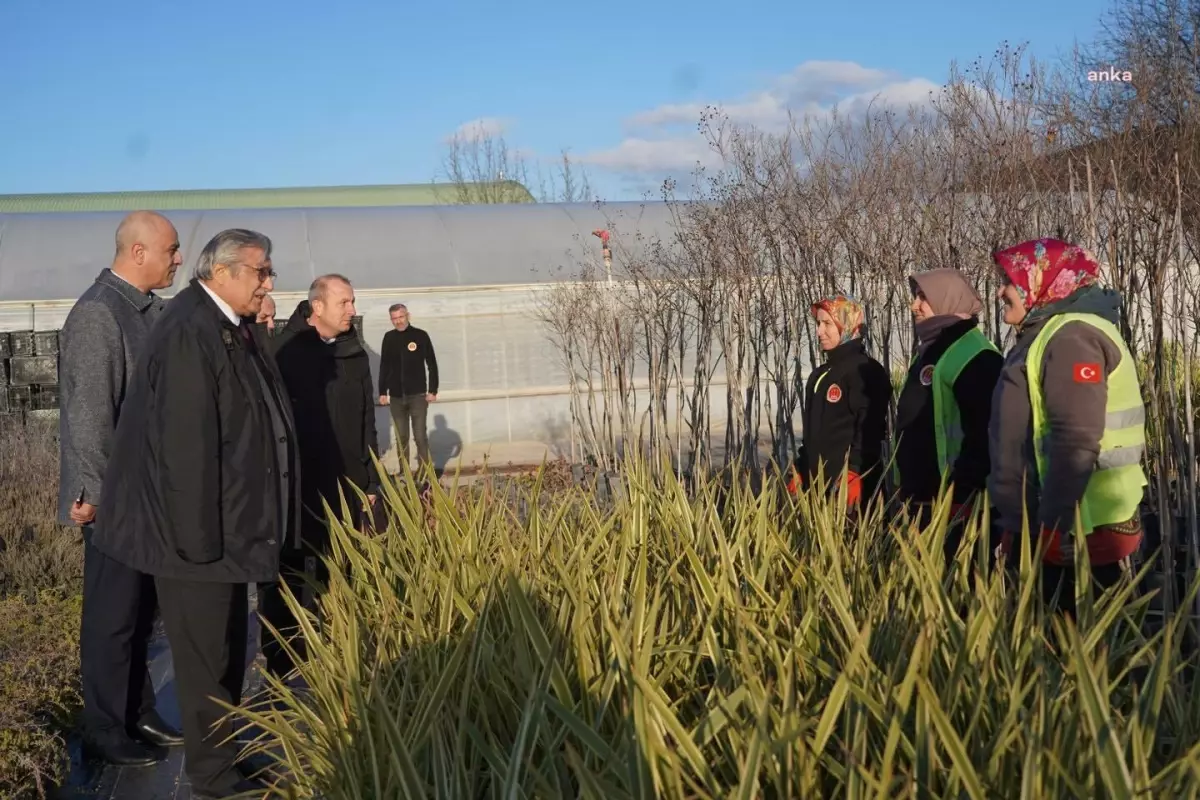 Bilecik Belediye Başkanı Park ve Bahçeler Müdürlüğü Sera Alanını Ziyaret Etti