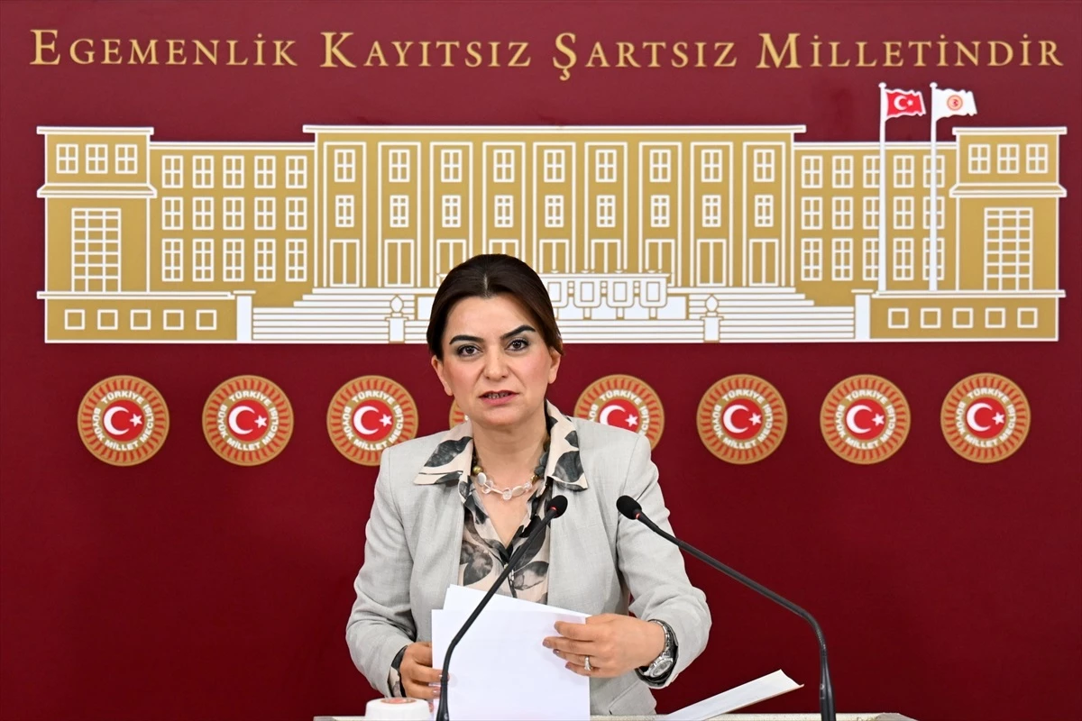 DEM Parti Grup Başkanvekili Gülüstan Kılıç Koçyiğit: Başak Demirtaş DEM Parti\'nin aday adayıdır