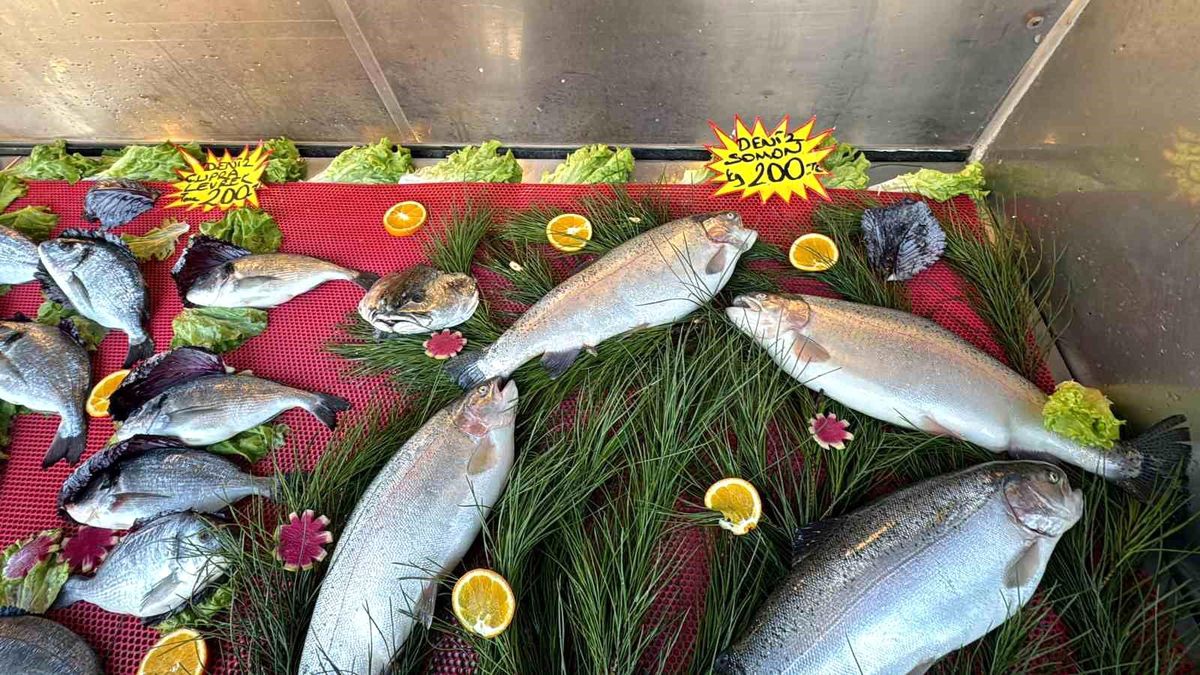 Hava sıcaklıkları deniz suyunu etkiledi, hamsi Gürcistan\'a kaçtı