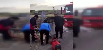Diyarbakır'da kafası çöp konteynerine sıkışan köpek böyle kurtarıldı