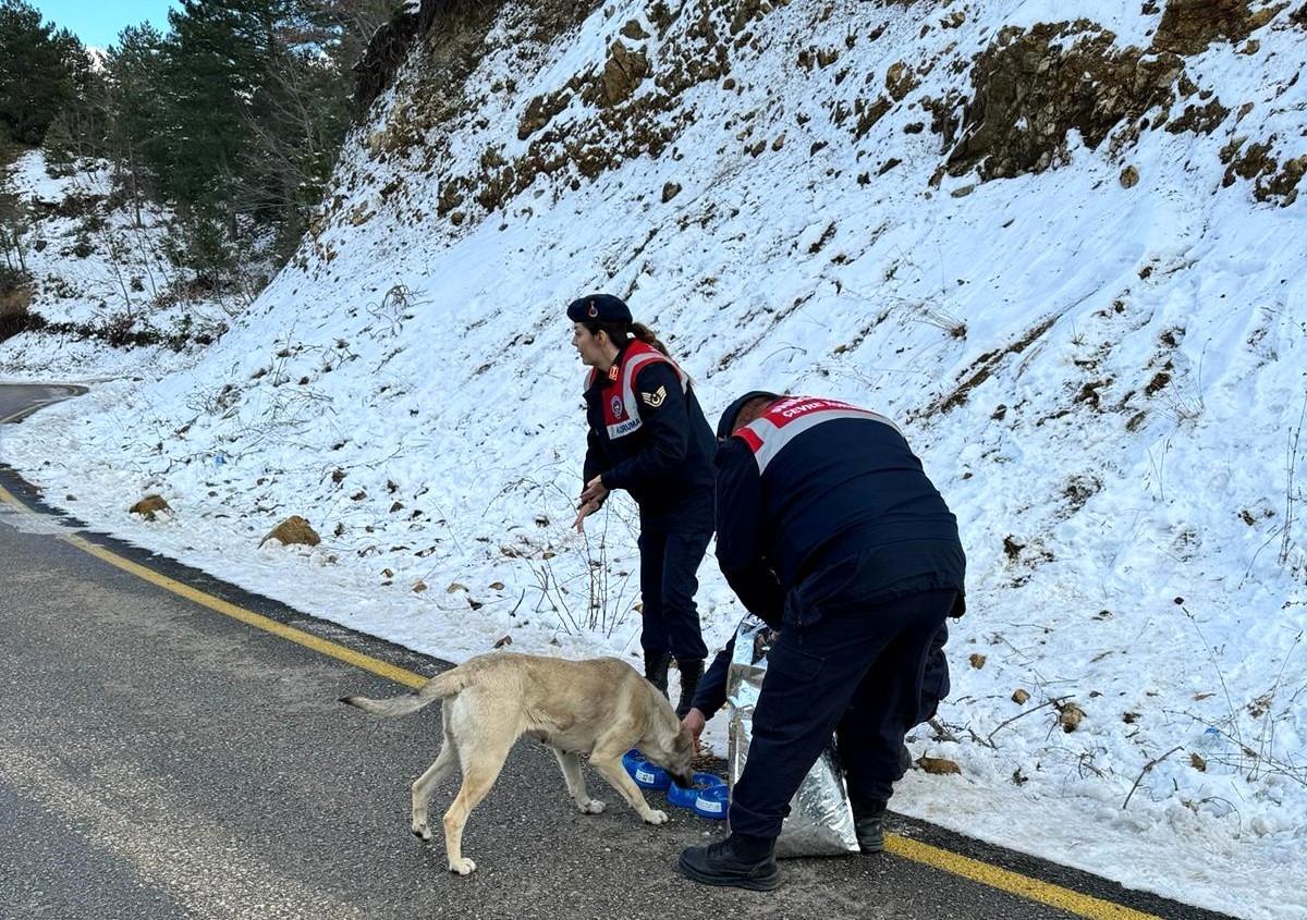 Osmaniye\'de jandarma ekipleri kar yağışıyla birlikte hayvanları besledi