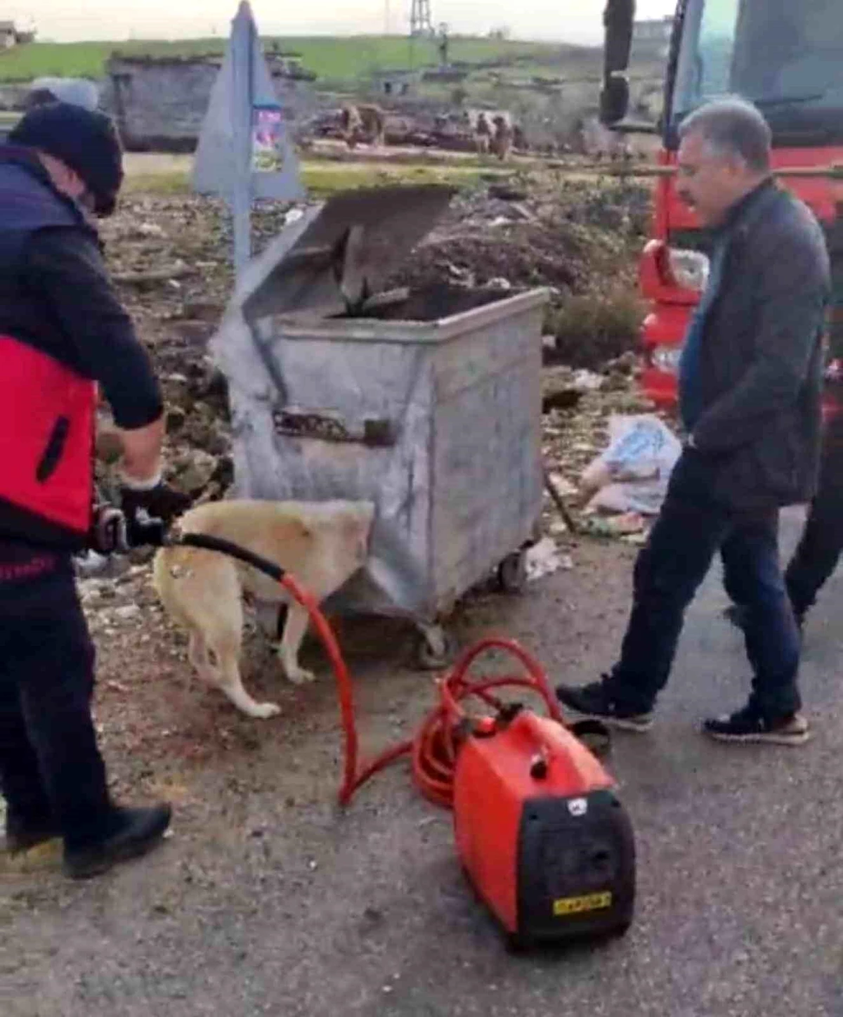 Diyarbakır\'da kafası çöp konteynerine sıkışan köpek itfaiye ekipleri tarafından kurtarıldı
