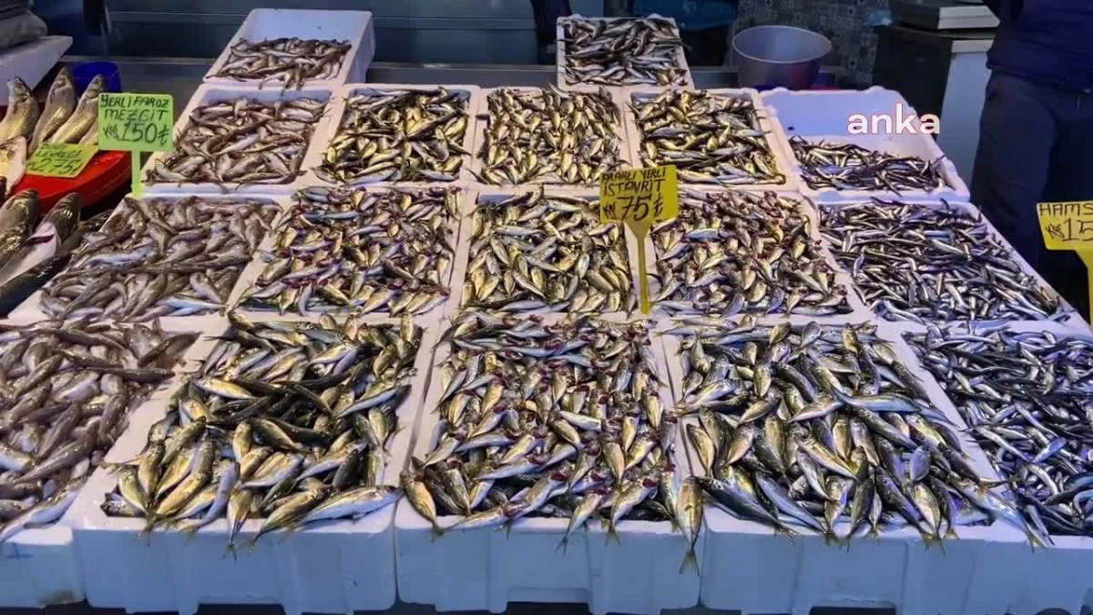Balık Fiyatları Yeni Yılda Yükseldi