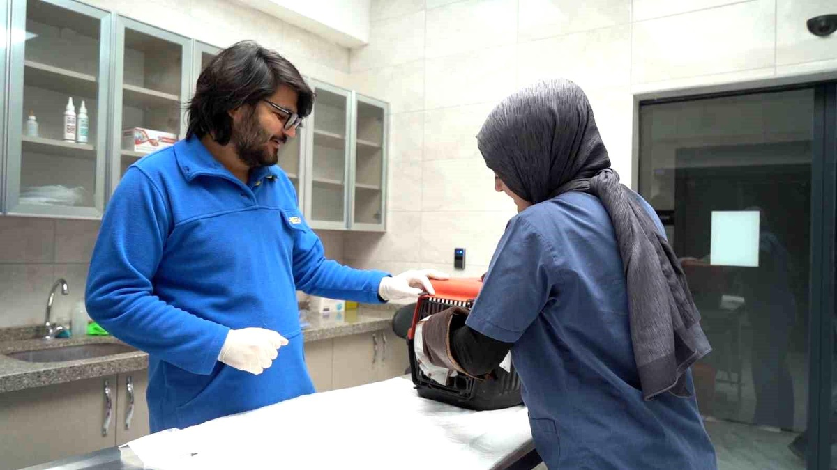 Çayırova\'da Sokak Hayvanları Geçici Bakım Evi ve Rehabilitasyon Merkezi Hizmete Girdi