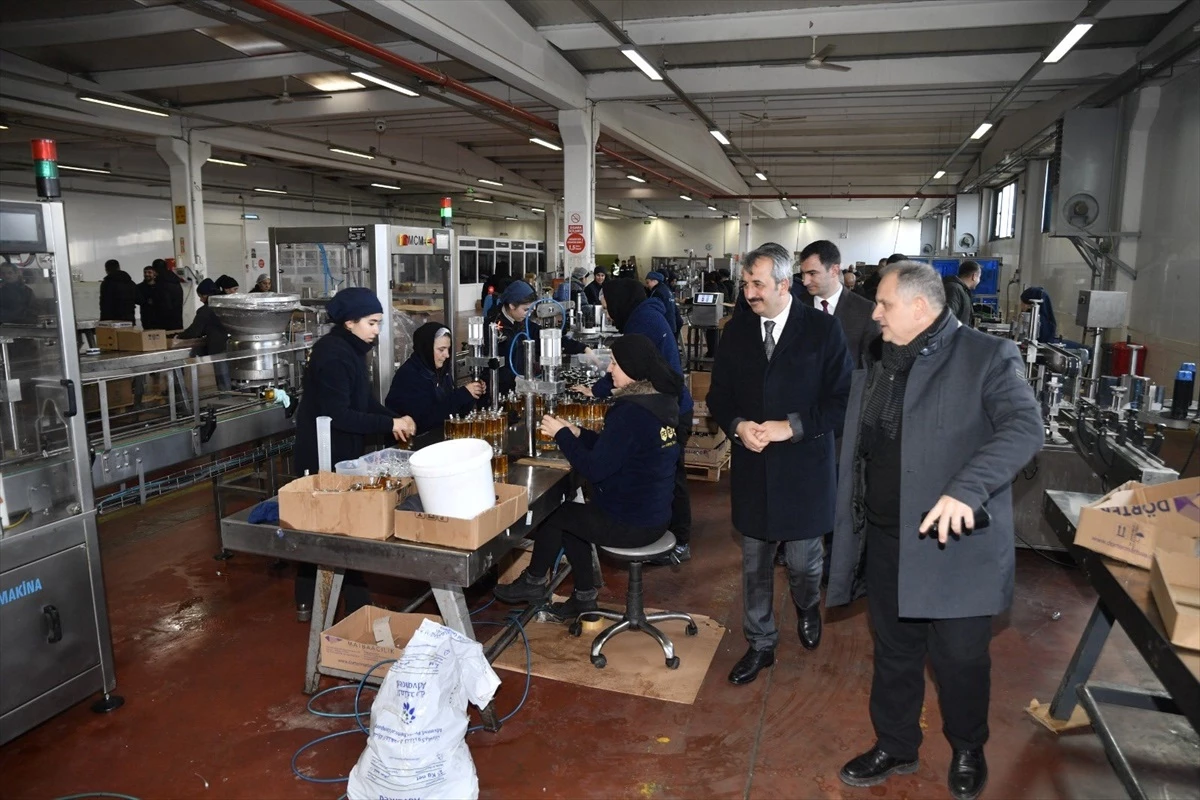 Edirne Valisi Yunus Sezer, Edirne OSB\'yi ziyaret etti