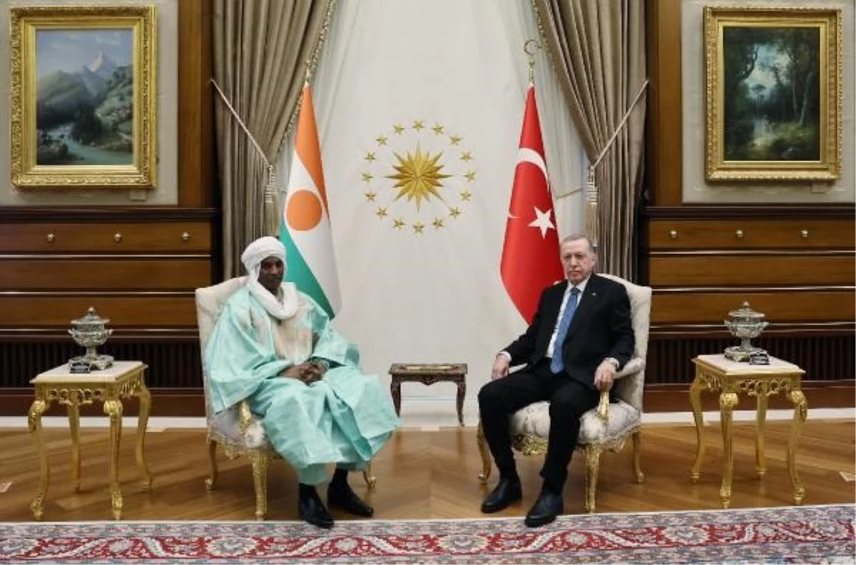 Cumhurbaşkanı Erdoğan, Nijer Başbakanı ve Ekonomi-Finans Bakanı Zeine\'yi kabul etti