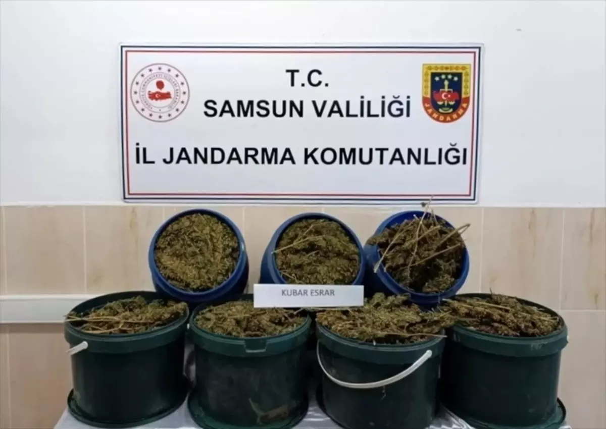 Samsun\'da 17 Kilo 700 Gram Esrar Ele Geçirildi, 1 Kişi Gözaltına Alındı