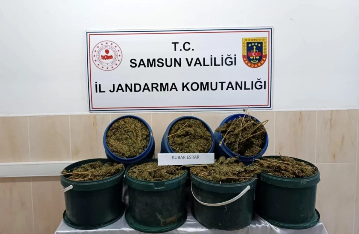 Samsun\'un Alaçam ilçesinde 17 kilo 700 gram uyuşturucu ele geçirildi