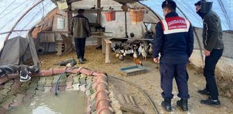 Aksaray'da Sera Görünümlü Çiftlikte 32 Kuş Ele Geçirildi