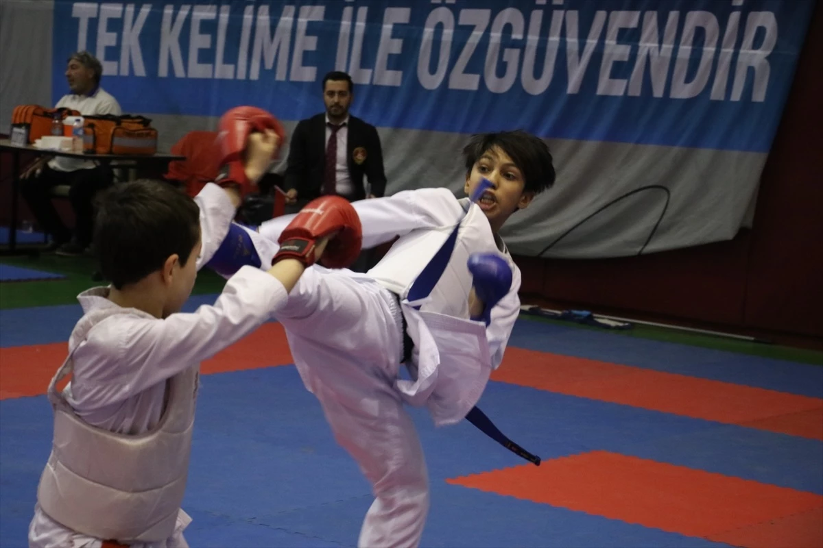 Adana\'da düzenlenen Türkiye Yıldızlar Karate Şampiyonası başladı