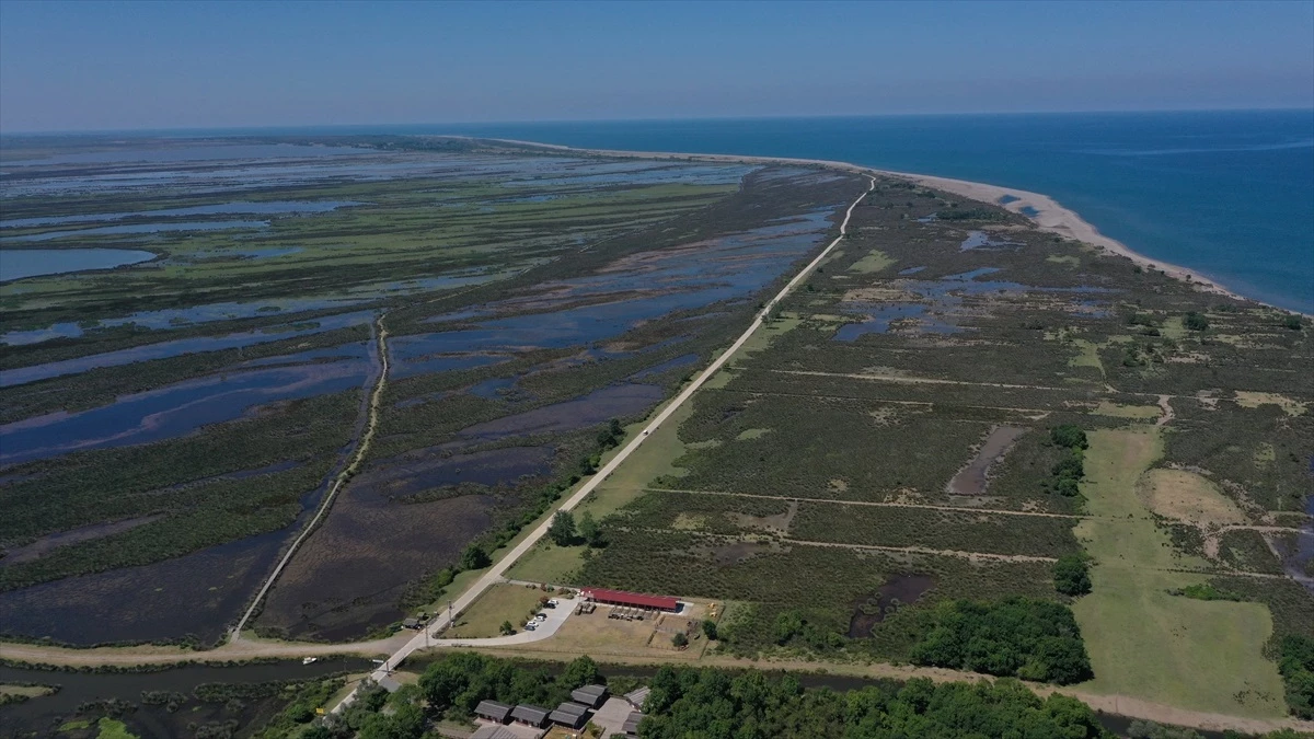 Kızılırmak Deltası Kuş Cenneti 100 Bin Ziyaretçiyi Ağırladı