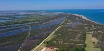 Kızılırmak Deltası Kuş Cenneti'ni 2023 yılında yaklaşık 100 bin kişi ziyaret etti