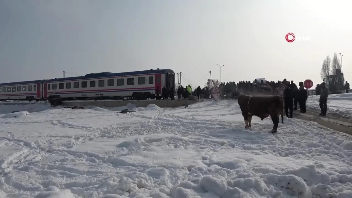 Muş\'ta hayvan yüklü tıra tren çarptı: 2 ölü, 2 yaralı