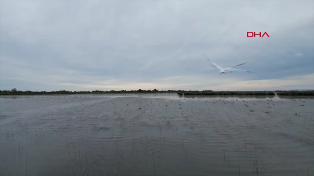 Kızılırmak Deltası Kuş Cenneti\'ni 2023 yılında yaklaşık 100 bin kişi ziyaret etti