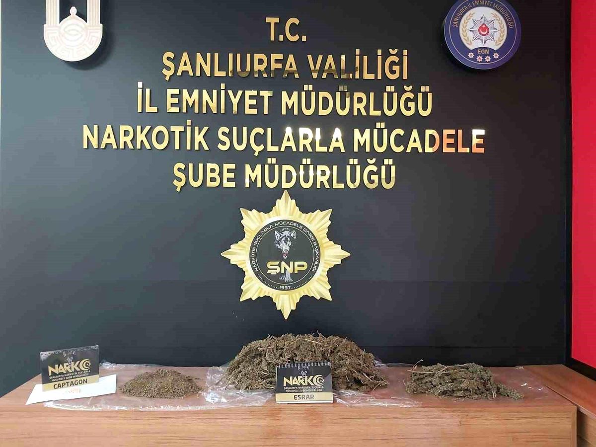 Şanlıurfa\'da 39 Kilo Skunk Ele Geçirildi, 5 Şüpheli Gözaltına Alındı