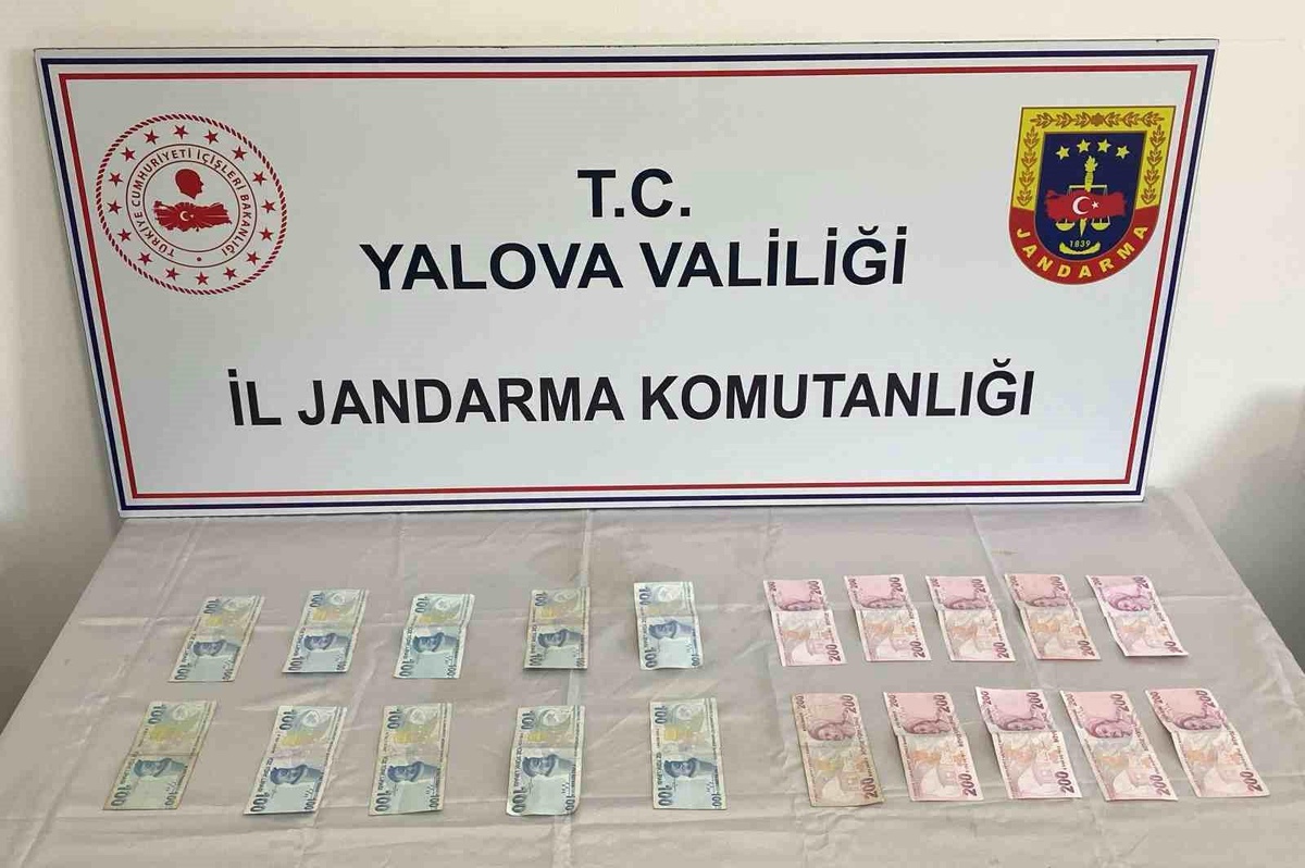 Yalova ve İstanbul\'da düzenlenen sahte para operasyonunda 2 şüpheli tutuklandı