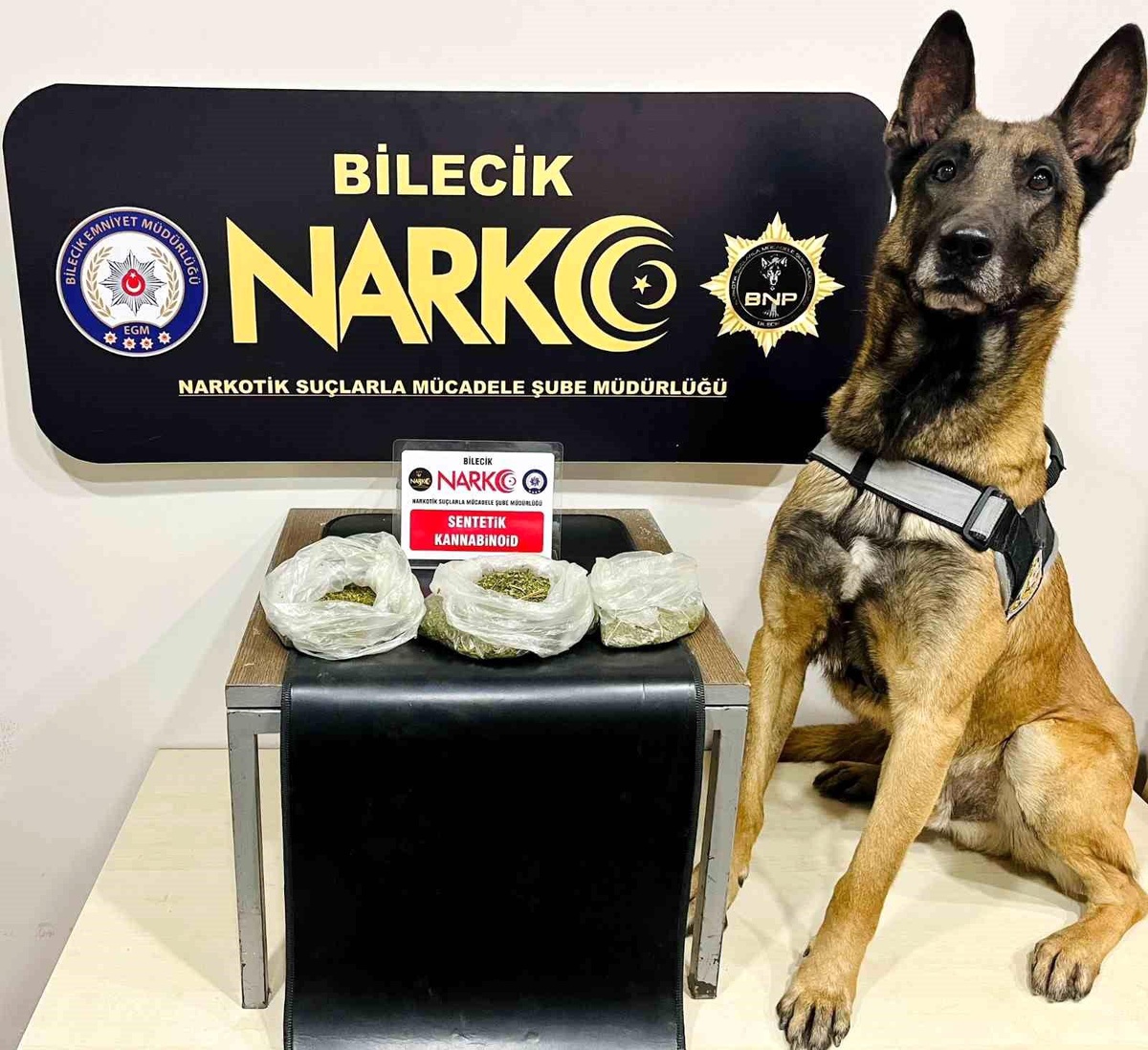 Bilecik\'te Narkotik Köpeği İle Zehir Tacirleri Yakalandı