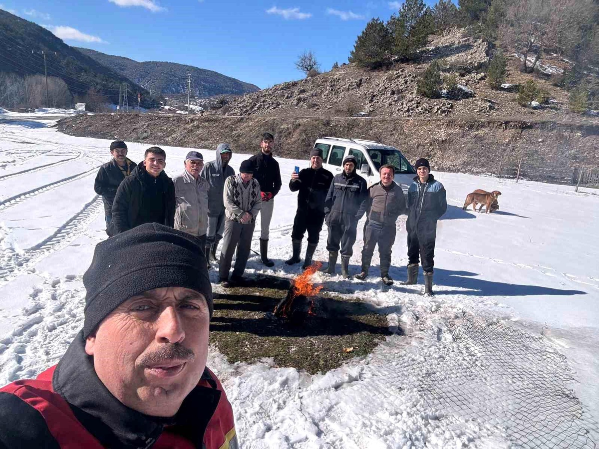 Bolu\'nun Mudurnu ilçesinde köylüler, hasat döneminde elde ettikleri 250 ton silajı kışın hayvanlarına taşıyor