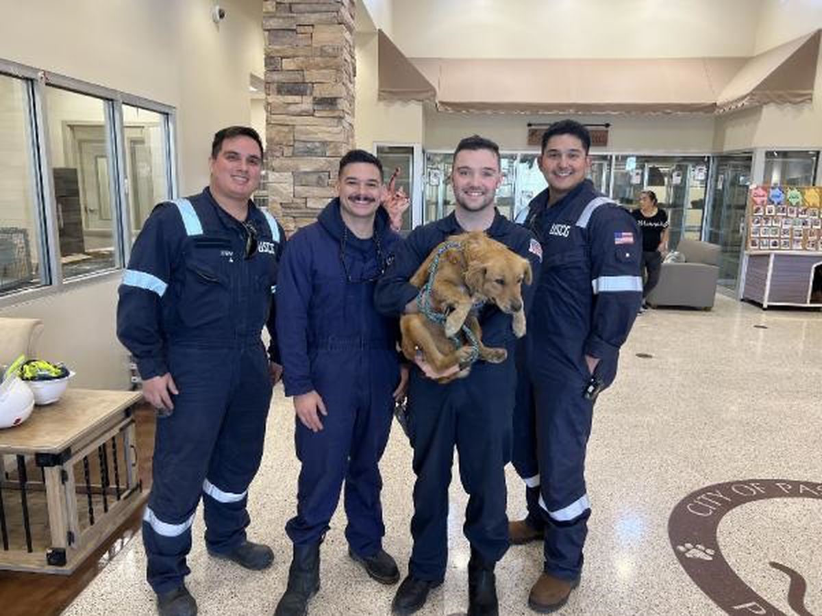 ABD Sahil Güvenliği, Houston Limanı\'nda bir konteynerde aç ve susuz kalan köpeği kurtardı