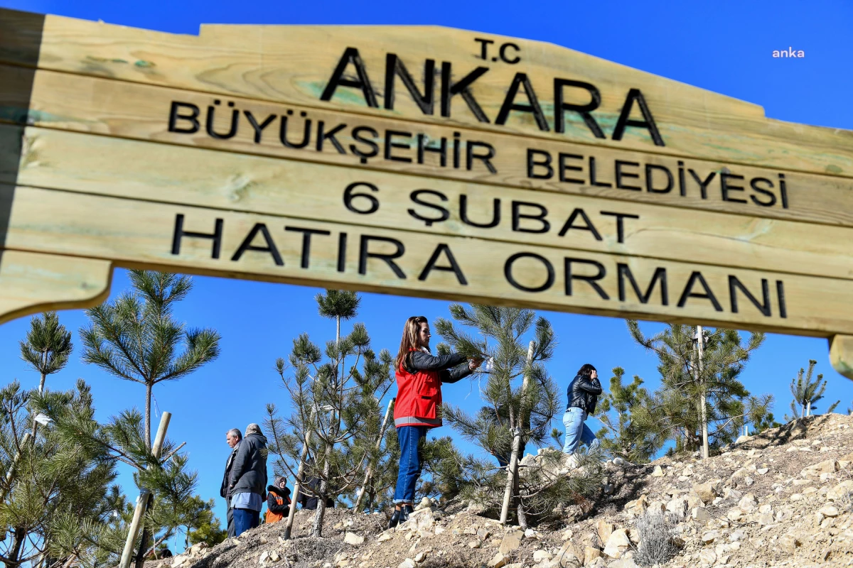Ankara Büyükşehir Belediyesi 6 Şubat Hatıra Ormanı Oluşturdu