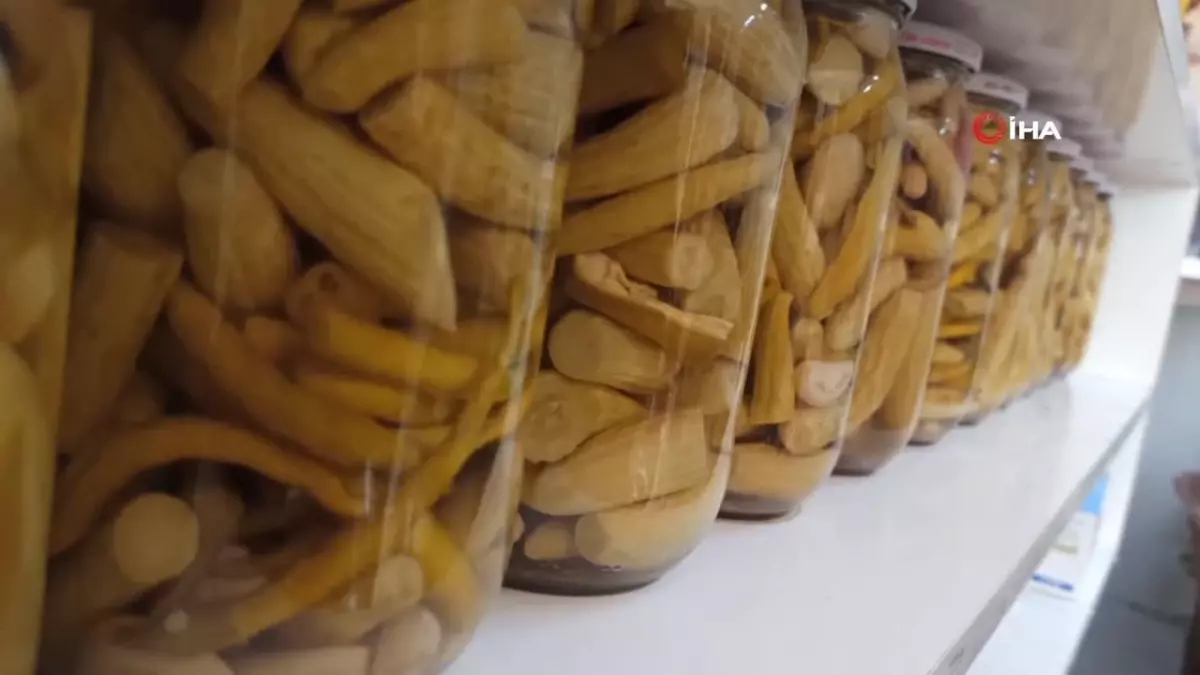 Depremzede gelin ve görümce yöresel yemekler yaparak aile ekonomisine katkıda bulunuyor