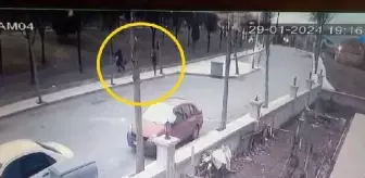 Taksi şoförünün köpeği saldırıya uğradı
