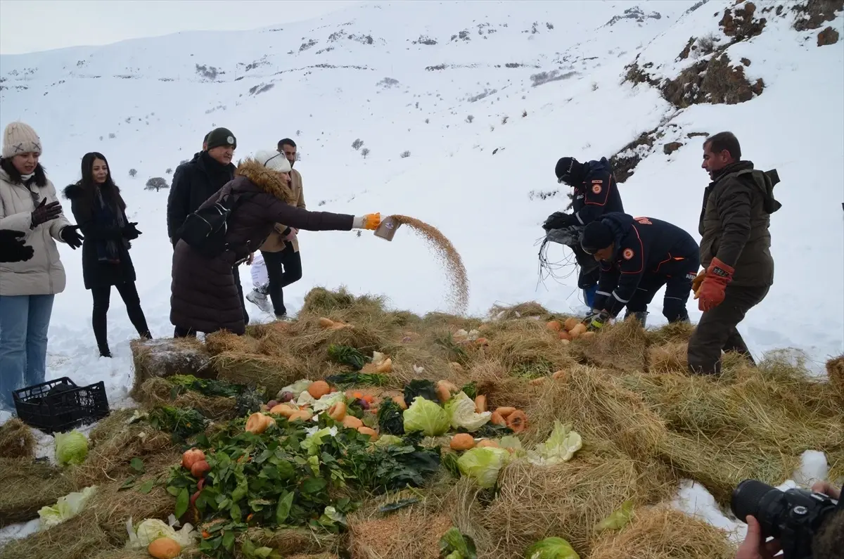 Muş Valisi ve Ekipleri Yaban Hayvanları İçin Doğaya Yem Bıraktı