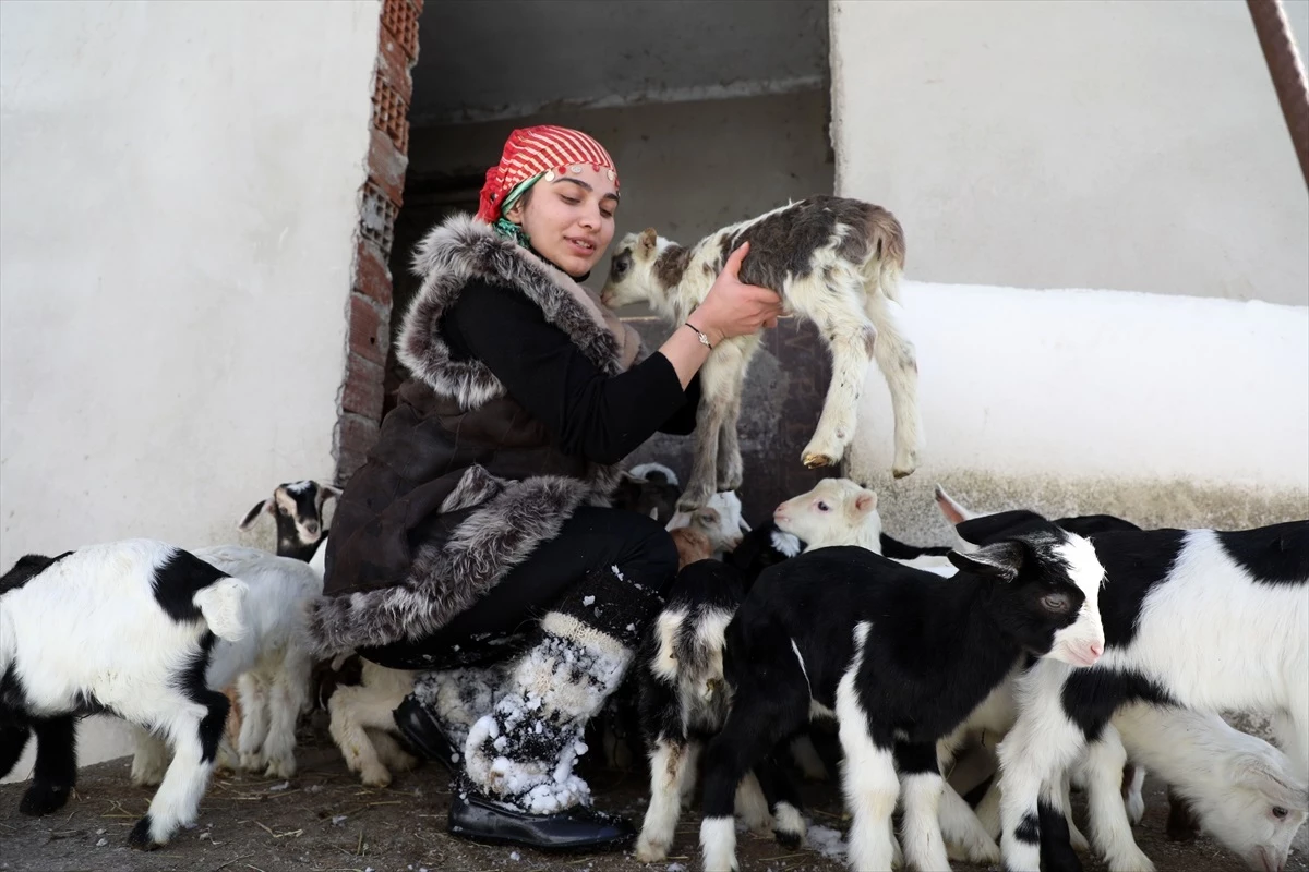 Rizeli Heidi: Keçi ve Köpekleriyle Okula Giden Genç Kız