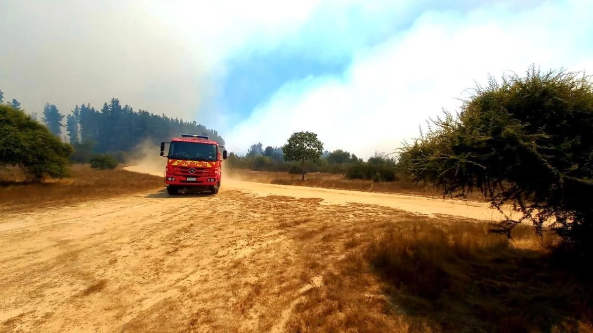 Şili\'de orman yangınlarında 10 kişi hayatını kaybetti, OHAL ilan edildi