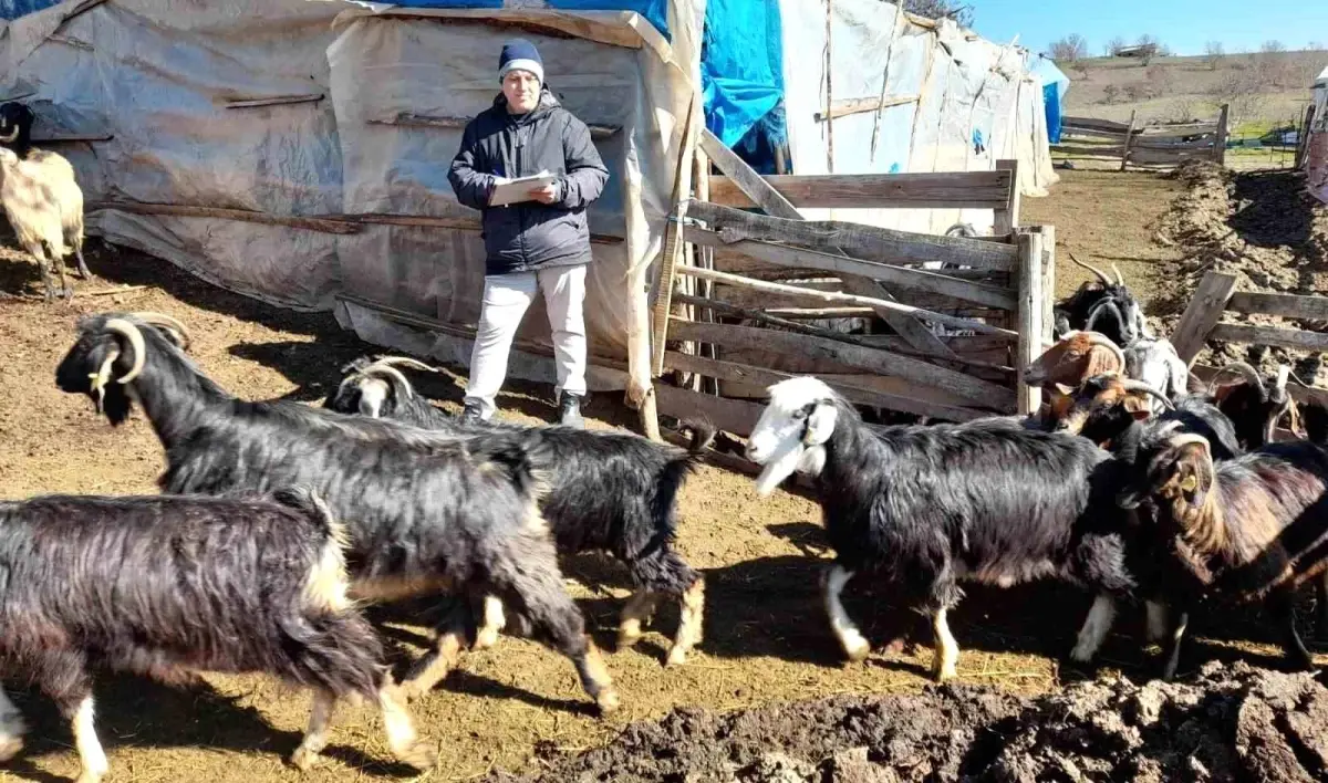 Simav İlçe Tarım ve Orman Müdürlüğü, Sürü Yöneticisi İstihdamı Desteklemesi için Yerinde Tespit Çalışmaları Yapıyor