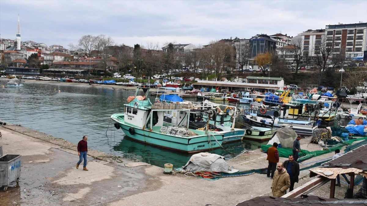 Akçakoca\'da Balıkçılar Olumsuz Hava Koşullarının Sona Ermesiyle Yeniden Ava Çıktı